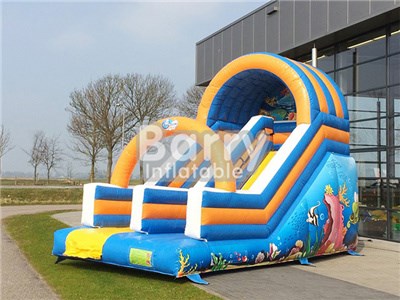 Professional Supplier Ocean World Inflatable Slide For Children BY-DS-065